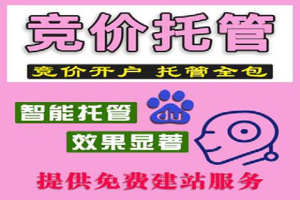 SEM优化托管助力企业品牌知名度案例