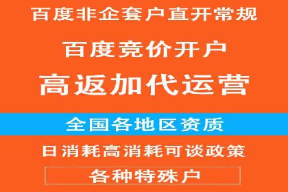 百度竞价包年推广：成功案例解析与效果评估